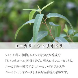 100% Natural Eucalyptus Citriodora Oil 3.4 fl oz (100 ml) Essential Oil Aroma Oil