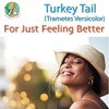 Fantastic Fungi Organic Turkey Tail Mushroom Powder Extract by Ecogenya