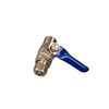 Bbagua GS110100.0 3/8 Water Absorption Inlet, Blue, Small