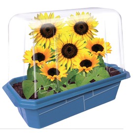 Unique Gardener Grow Your Own Sunflower Plants, Indoor Plant Seeds Kit for Gardening Enthusiasts, Includes Everything Needed to Grow Live Happy and Cheerful Flowers, Just Add Water