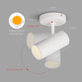 Aisilan LED Monopoint White Ceiling Spot Light Adjustable Angle Anti Glare Indoor Spotlight Lamp 12W 3000K CRI 97 for Painting Home Hallway Living Room Art Lighting