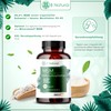 MSM 365 Capsules 99.9% Pure Methylsulfonylmethane High Dose & High