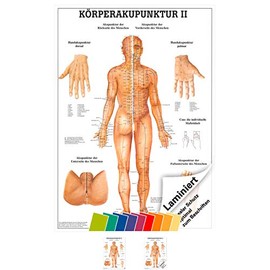 Sport-Tec Body Acupuncture II Mini Poster Anatomy 34 x 24 cm Medical Teaching Aid