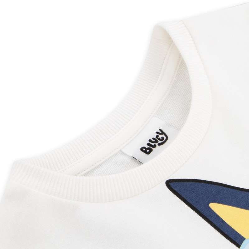 BlueY Sweatshirt | Bingo Sweatshirt Children | Boys Pullover Cotton,
