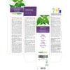 Nettle (Urtica dioica) Leaves and Roots Alcohol-Free Mother Tincture Naturalma
