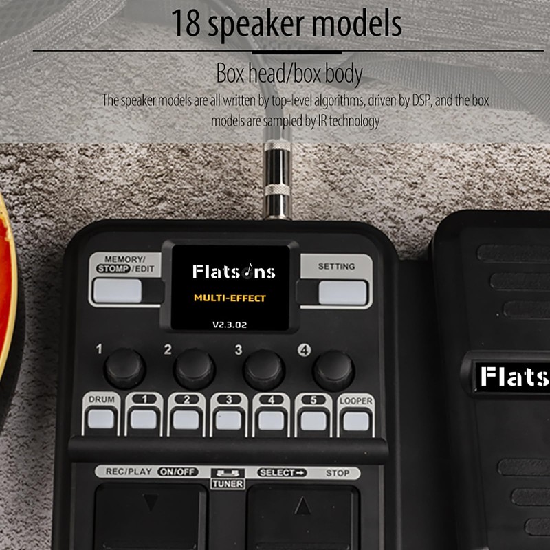 Multi-Effects Processor for Electric Guitar
