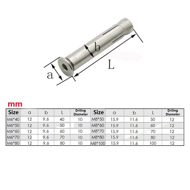 M8*100 304 Stainless Steel Internal Hex Expansion Bolt Set of