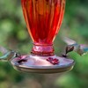 Perky Pet 8133-2 Daisy Vase Vintage Glass Hummingbird Feeder