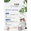 Kinko-kun Pet High Concentration Lactic Acid Bacteria for Cats and