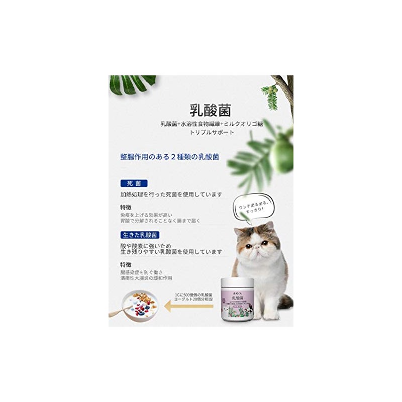 Kinko-kun Pet High Concentration Lactic Acid Bacteria for Cats and