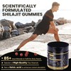 Grevol Pure Himalayan Shilajit Gummies with Ashwagandha - Fulvic Acid