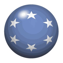 Micronesia Store Home Wall Decor Wall Stickers World State Map Flag Peel and Stick Wall Decal for Cafe Hotel Kids Room Restaurant Notebook Vinyl 28in