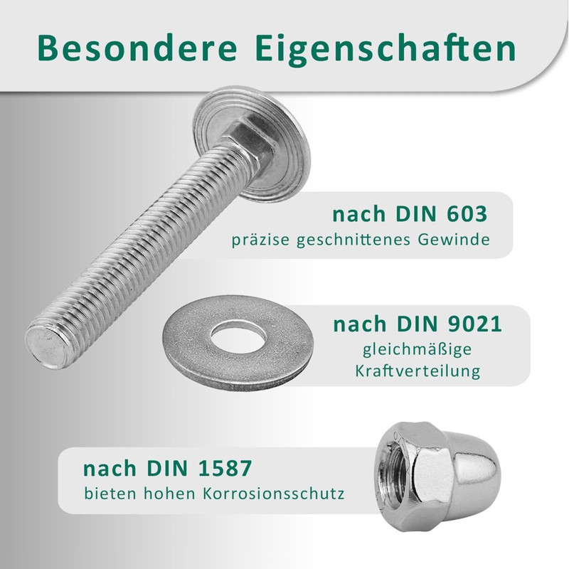 DSM – Schlossschrauben M6 x 12 mm nach DIN 603