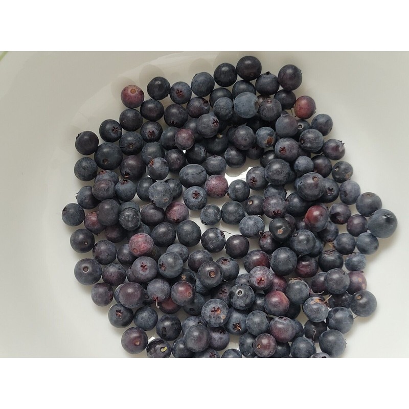 Best The Best Damn Blueberry Lemon Jam~Homemade~F