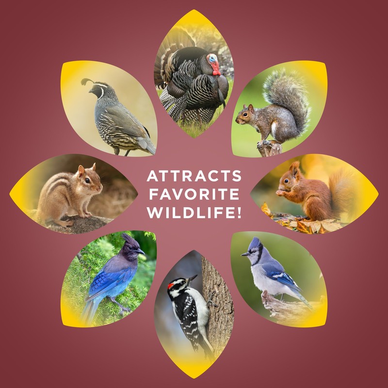 Audubon Park Squirrel & Critter Food, 15-lb. Bag