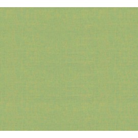 Kaffe Fassett 1/2 Yard Discontinued Kaffe Fassett Shot Cotton Fabric Color “Apple” OOP HTF