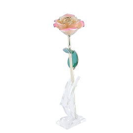 Long Stem Dipped 24k Gold Rose in Gift Box with Stand (White pink Rose with Stand)