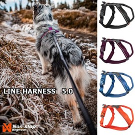 Non-stop dogwear Line Harness 5.0 |214| Guide and Everyday Harness, Colour: Black, Size: G 4