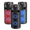 TopTech Fully Powered Portable 1500 Watts Peak Power Speaker w/