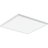 Lithonia Lighting CPANL 2x2 LED Flat Panel Light, 2 ft.