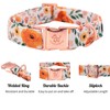 Elegant little tail Fall Dog Collar, Pet Collar Durable Orange