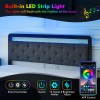 Merxeng Queen Bed Frame Platform Bed Frame with LED Lights