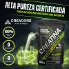 Creatina Electrolitos, Vitaminas Testo Rocket