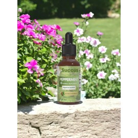 MySuccus Peppermint Tincture - Digestive System - 1 oz, Alcohol Free