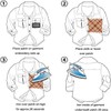 60 Piezas Parches Bordados para Planchar, Apliques Bordados, Parches para