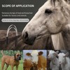Heavy-Duty Serrated Horse Sweat Scraper | Double-Sided Grooming Tool for