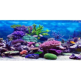 MIRRORANG 61x41cm Durable Vinyl Underwater Theme Aquarium Background Colorful Coral Tropical Fish Undersea World Fish Tank Poster Backdrop
