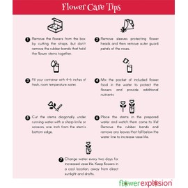 24 Stems - Fresh Rainbow Roses Bouquet by Flower Explosion