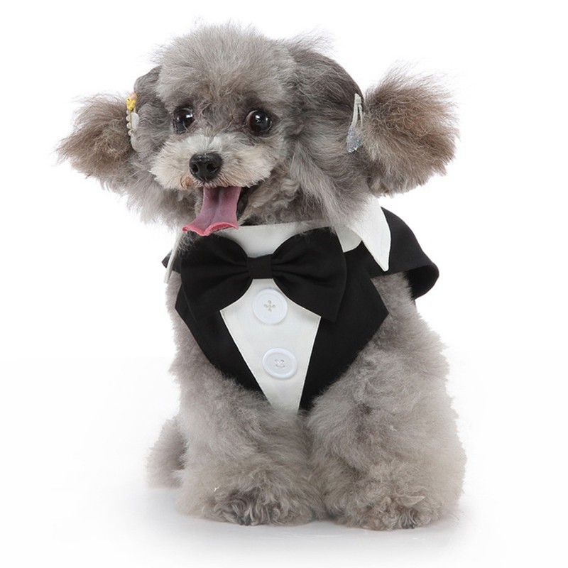 Dog Suit Soft Breathable Fashionable Bow Tie Puppy Costume for