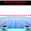 Water Gear Backstroke Flags - Meets All Regulations - Heavy-Duty