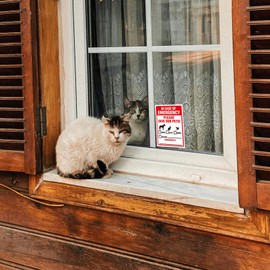 5 Pack Pet Alert Safety Fire Rescue Stickers,Emergency Alert People and Pet Finder Sticker/Decal,Self Adhesive Vinyl,UV Resistant, Waterproof.