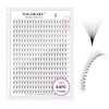 NAGARAKU Premade 10D Fan, 10 Bundles Eyelash Extension, 320 Bundles,