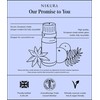 Nikura | Myrrh (Thick) Essential Oil - 10ml - 100%
