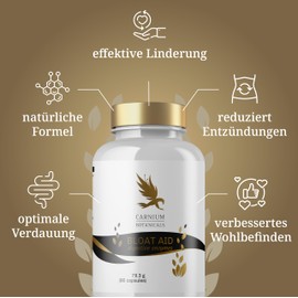 Bloat Aid Verdauungsenzyme - Natürliche Linderung bei Aufgeblähtheit und Verdauungsproblemen - 90 Kapseln für 30 Tage