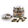 Moldex Camo Plugs® Disposable Foam Earplug Jar 6685, NRR 33dB