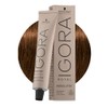 Schwarzkopf Igora Absolutes 6-50 60 ml Pack of 6 (6