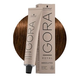 Schwarzkopf Igora Absolutes 6-50 60 ml Pack of 6 (6 x 60 ml)