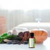 Vida Scents Aceite Esencial Aromaterapia 10ml Difusores Humidificadores 100 Puro
