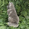 Vivid Arts - Malamute Husky - Indoor Outdoor Garden Ornament