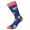 CUP OF SOX Funny Socks with Frog in Paper Cup,