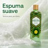 Shampoo Huichol Artesanal De Sabila Anticaida Original 400 ml