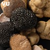 뷰 트러플 바이탈 세럼 150ml 2개 View Truffle Vital Serum