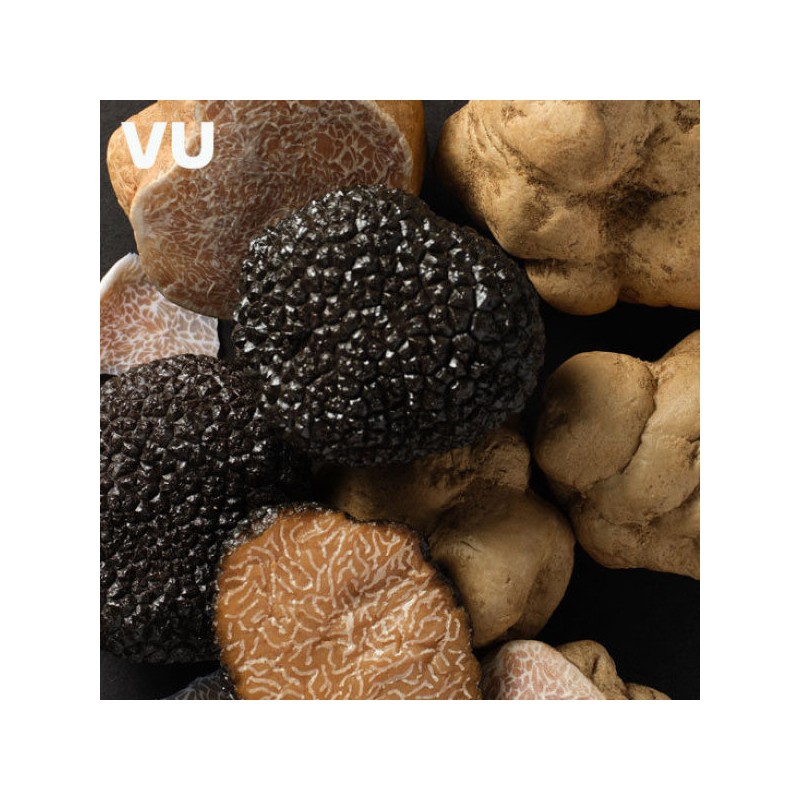 뷰 트러플 바이탈 세럼 150ml 2개 View Truffle Vital Serum