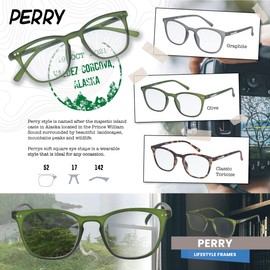 Croakies Perry Photochromic Progressive Eyewear | UV400 Sunglass for Outdoor | Bluelight Eyeglass for HEV Devices | Bundle