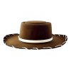 Disfraz Sombrero De Vaquero Woody