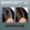 Clairol Root Touch-Up Permanent Hair Dye, 4G Dark Golden Brown,